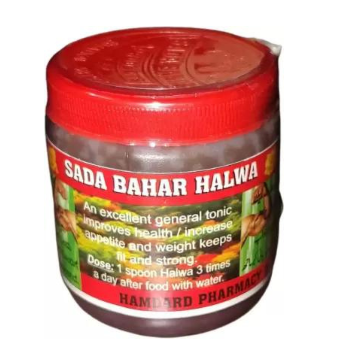 Health Tone Sada Bahar Natural Weight gain Halwa Pet Health Supplements (70 g)
